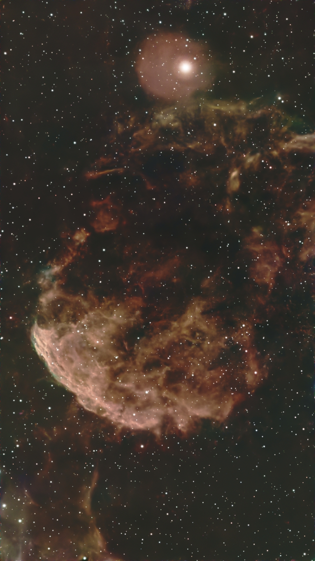 IC443_463_20sec_20260306_PI.jpg