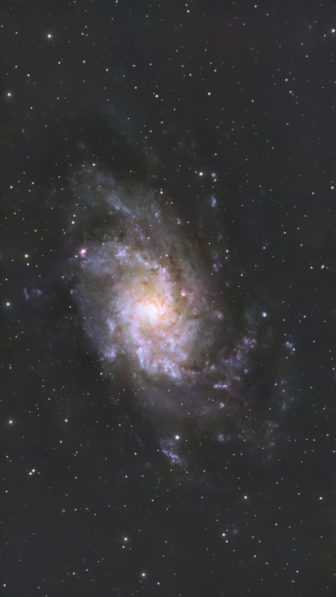 M33_183x20sec_2026-01-22_PI.jpg