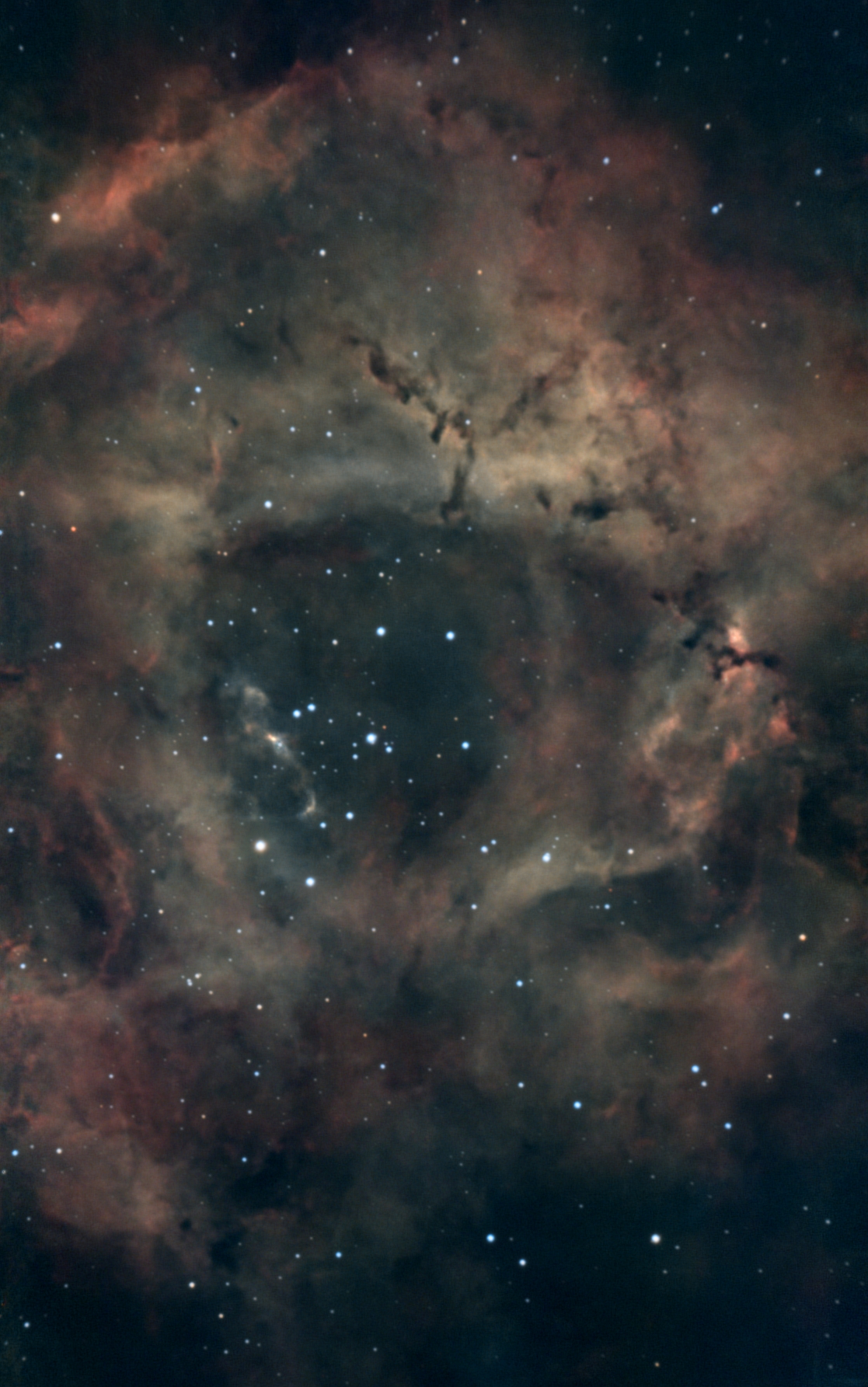 NGC2237_309x20sec_2026-03-08.jpg
