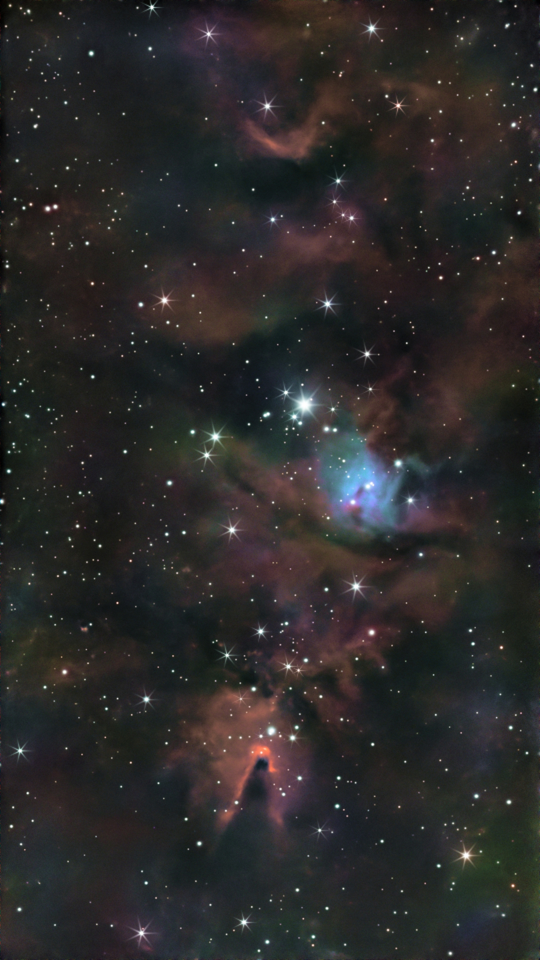 NGC2264_616x20sec_2926-03-02_PI.jpg
