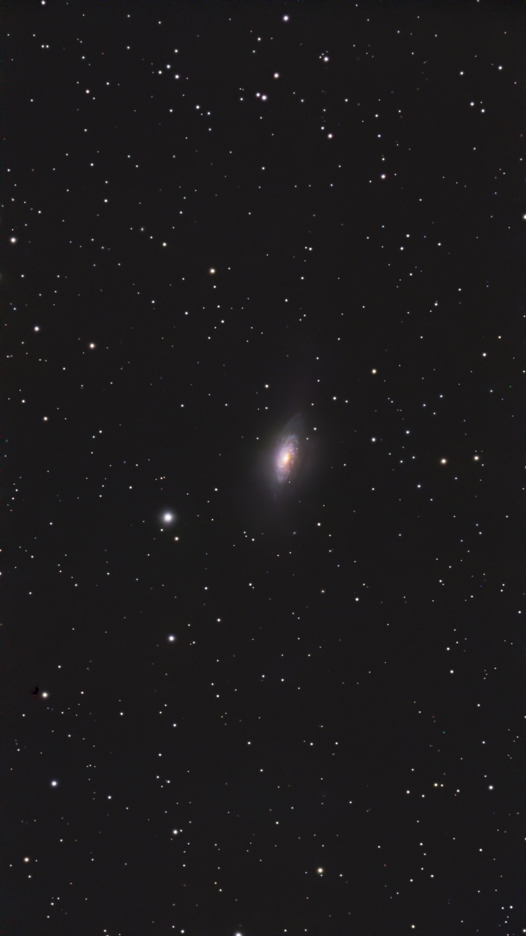 NGC3521_123x20sec_2026-01-21_PI.jpg